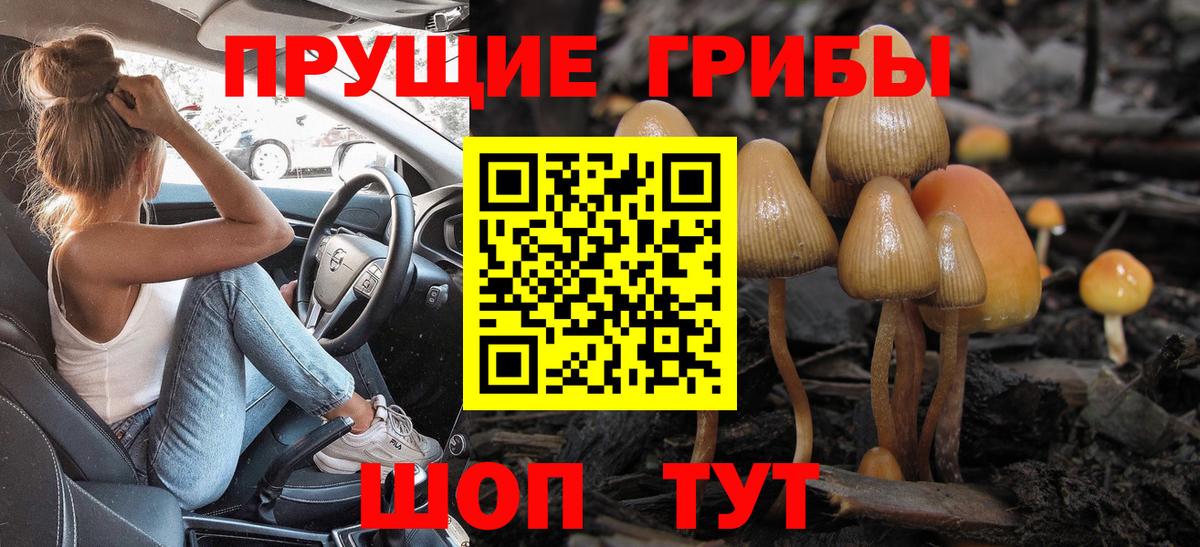 Галлюциногенные грибы Cubensis Зеленогорск